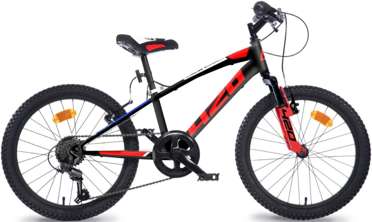 20" MTB Dino Bikes Aurelia Bicycle