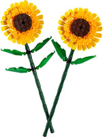 40524 Girasoli