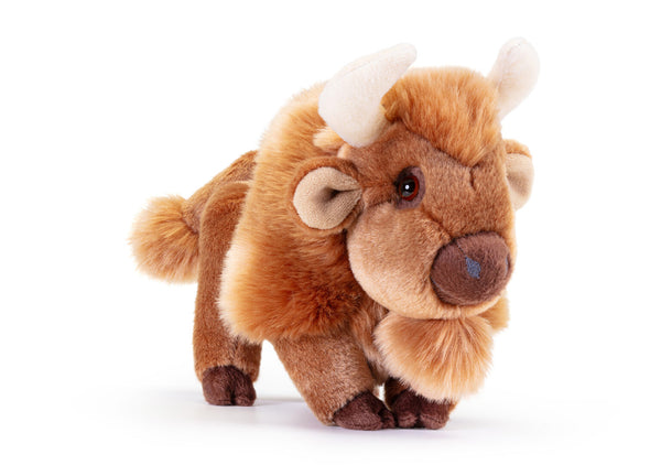 Bisonte Rocky, taglia S