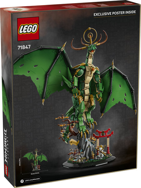 71847 Drago-guardiano
