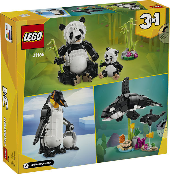 31165 Famiglie di animali: Panda