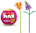Max Costruzioni Flowers