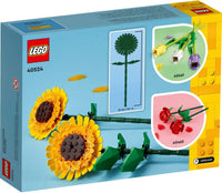40524 Girasoli