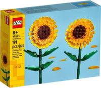 40524 Girasoli