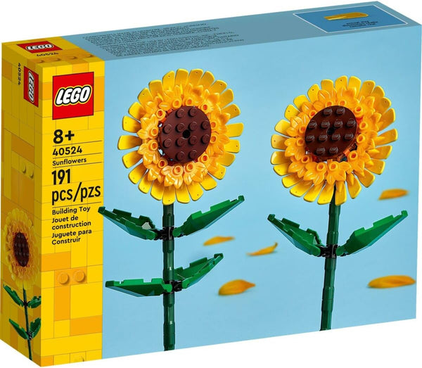 40524 Girasoli