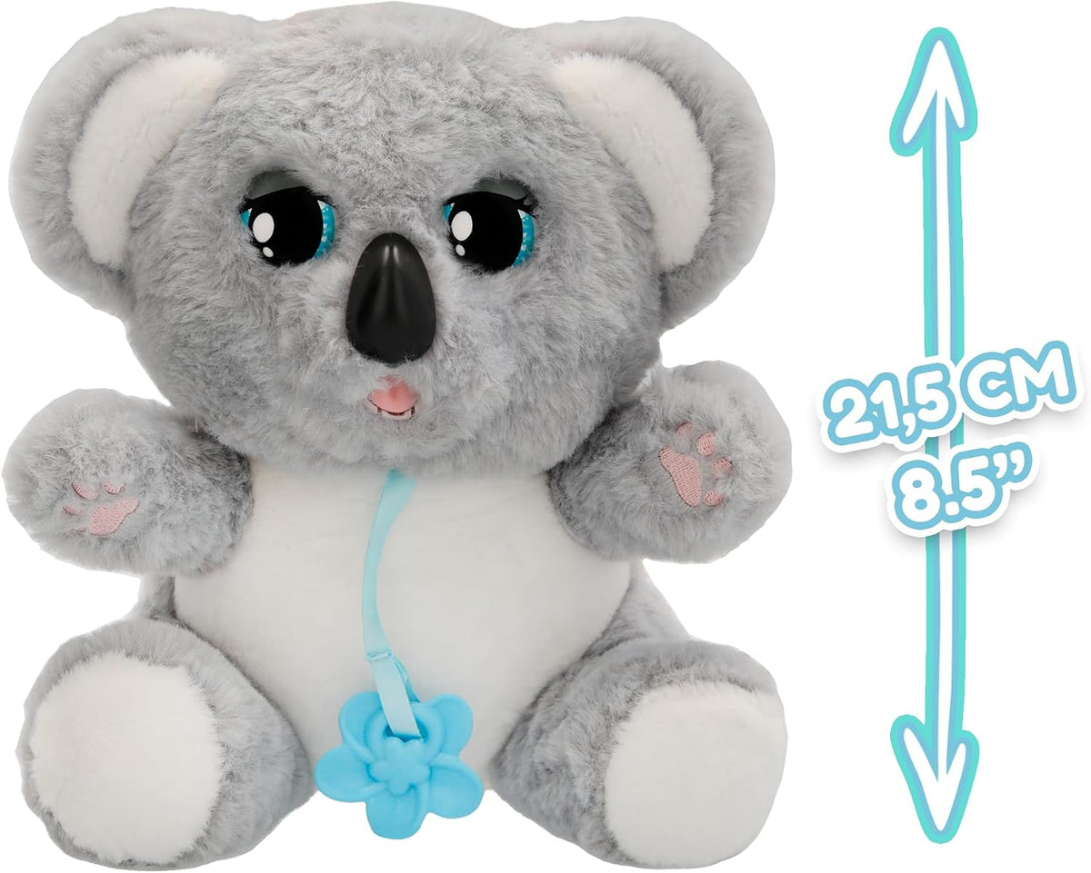 Baby Paws - Koala