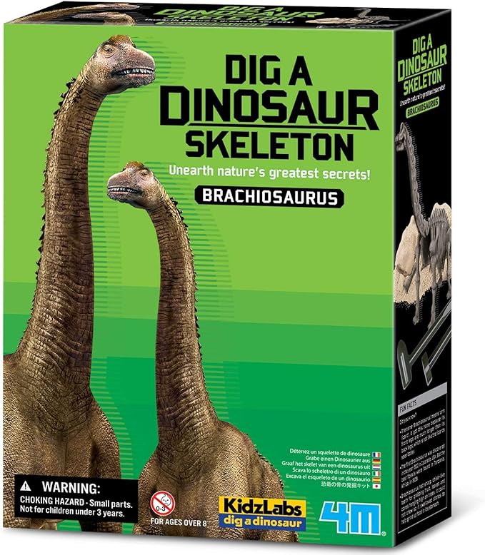 Scava e crea lo scheletro di un Brachiosauro