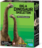 Scava e crea lo scheletro di un Brachiosauro