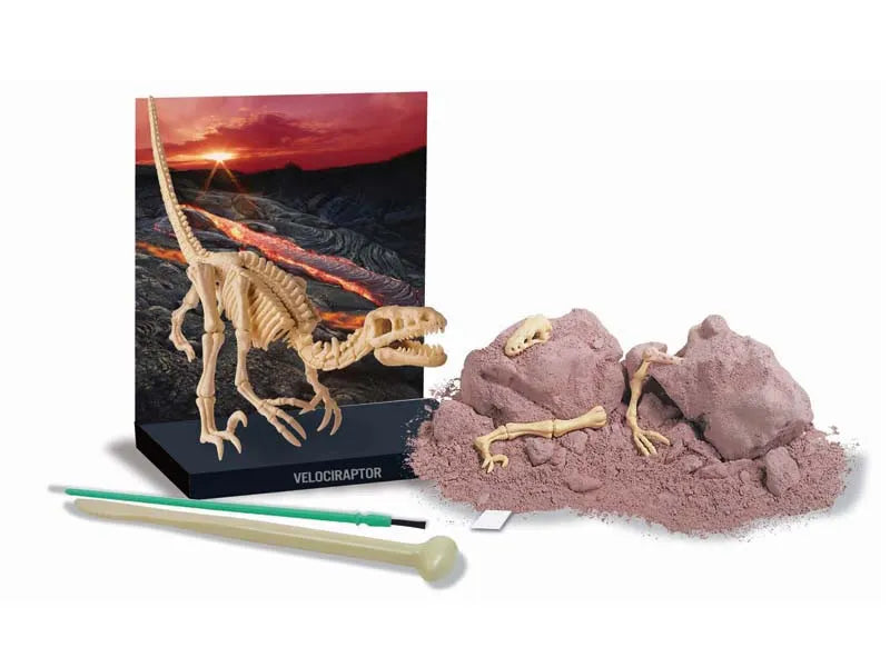 Scava e crea lo scheletro di un Velociraptor