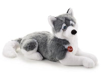 Husky Marcus Taglia XL
