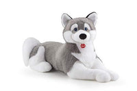 Husky Marcus Taglia Jumbo