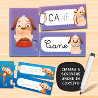 Carotina - I Read and Write Laboratory