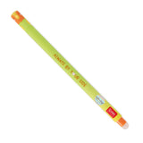 SET OF 2 ERASABLE GEL PENS