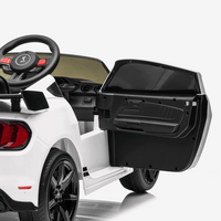 FORD MUSTANG SHELBY GT500