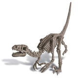 Scava e crea lo scheletro di un Velociraptor