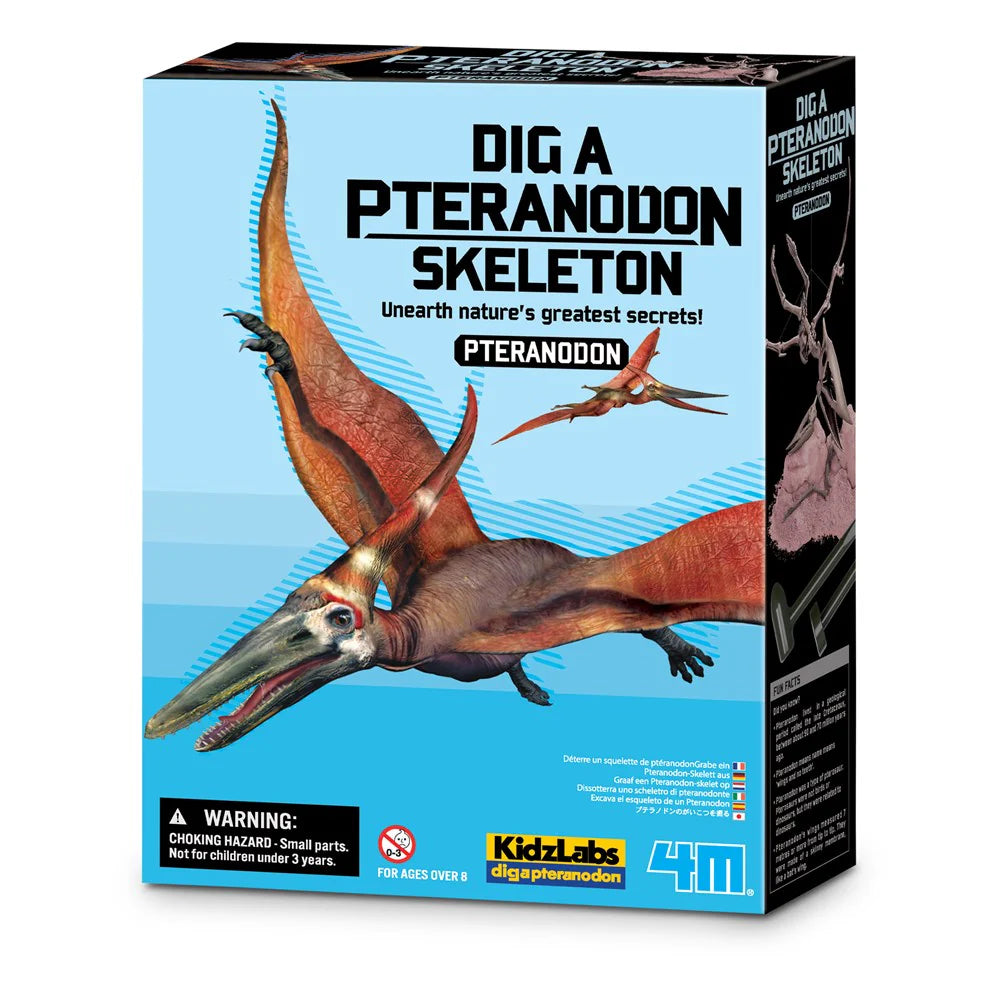 Scava e crea lo scheletro di un Pteranodonte