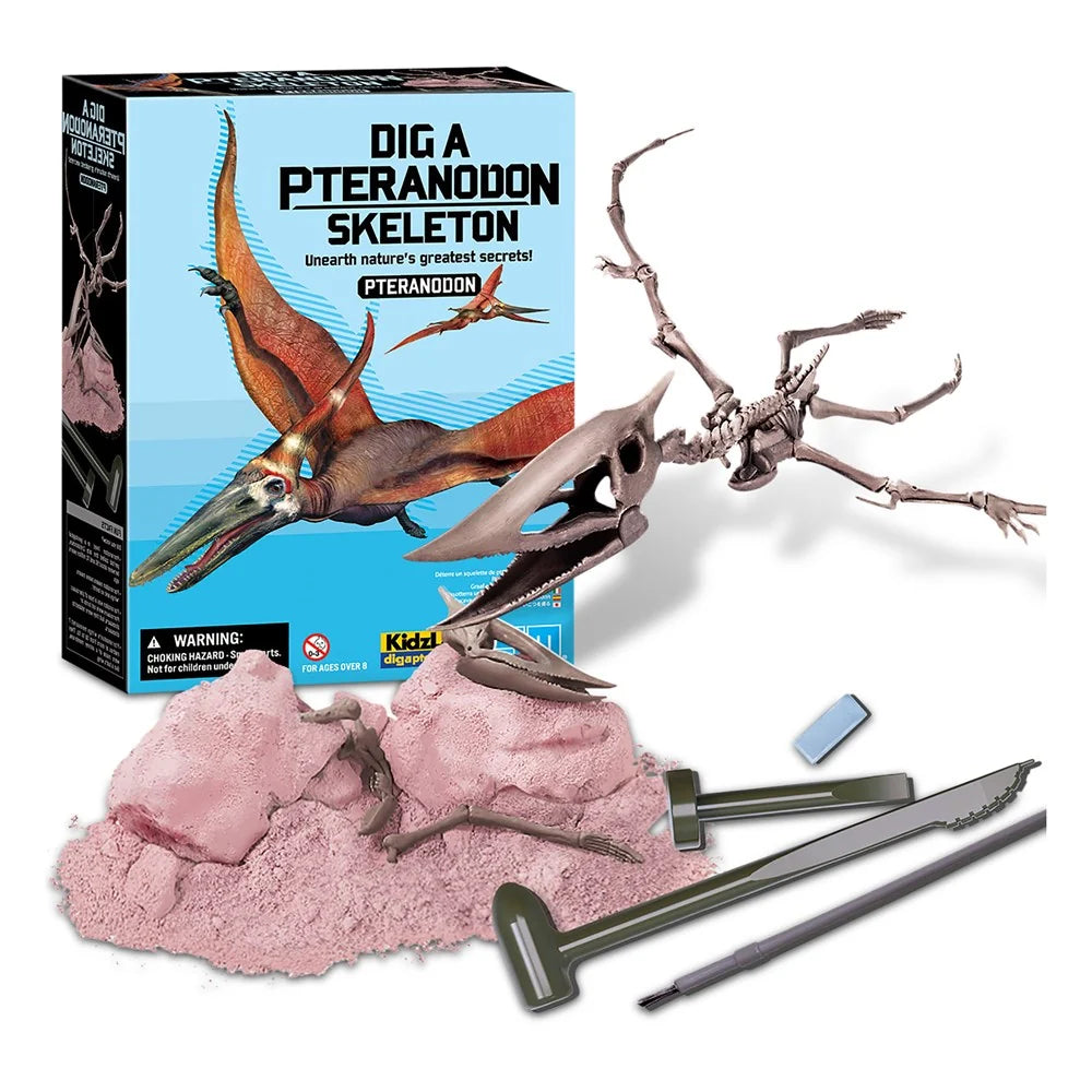 Scava e crea lo scheletro di un Pteranodonte