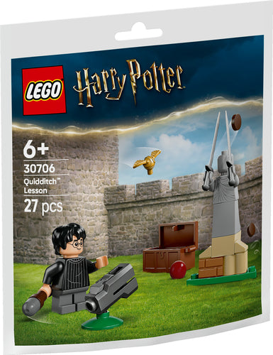 30706 Lezione di Quidditch