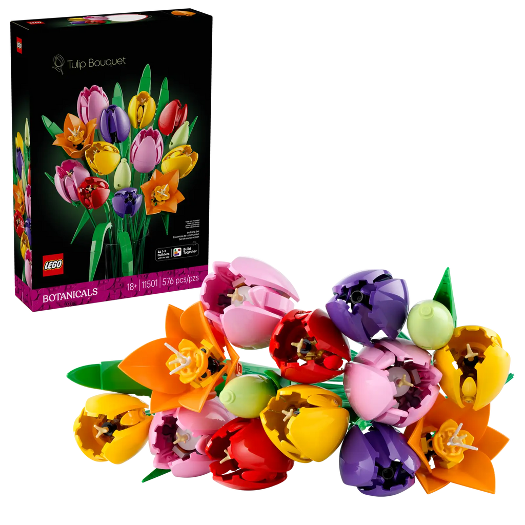 11501 Bouquet di tulipani