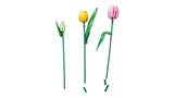 11501 Bouquet di tulipani