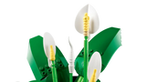11504 Spatifillo