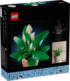 11504 Spatifillo