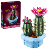 11509 Cactus in fiore