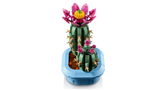 11509 Cactus in fiore
