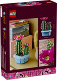 11509 Cactus in fiore