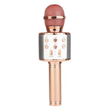 Microfono Karaoke  GGI220234/1