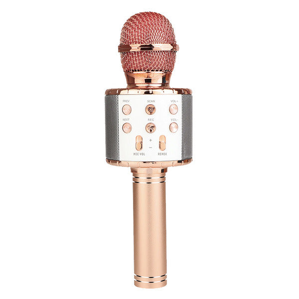 Microfono Karaoke  GGI220234/3