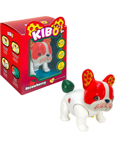 KIBO strawberry