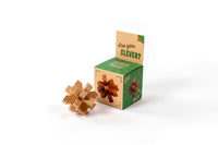 Are You Clever? Classic Wooden Puzzle