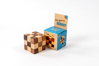 Are You Genius? Classic Wooden Puzzle