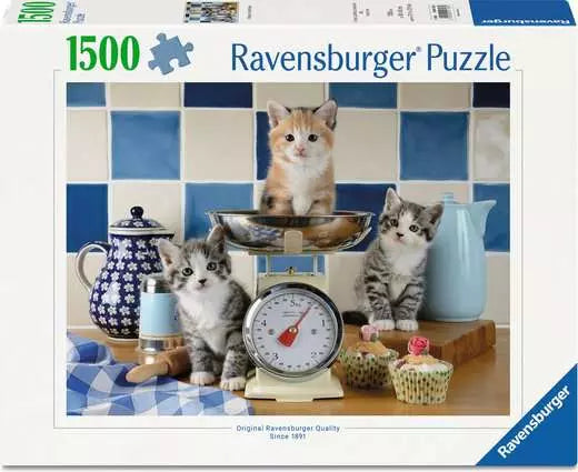 Gattini in cucina 1500 pc