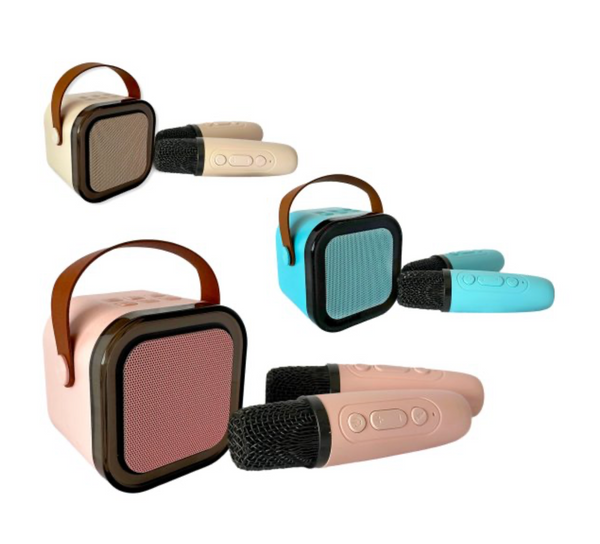 Cassa Karaoke colori assortiti