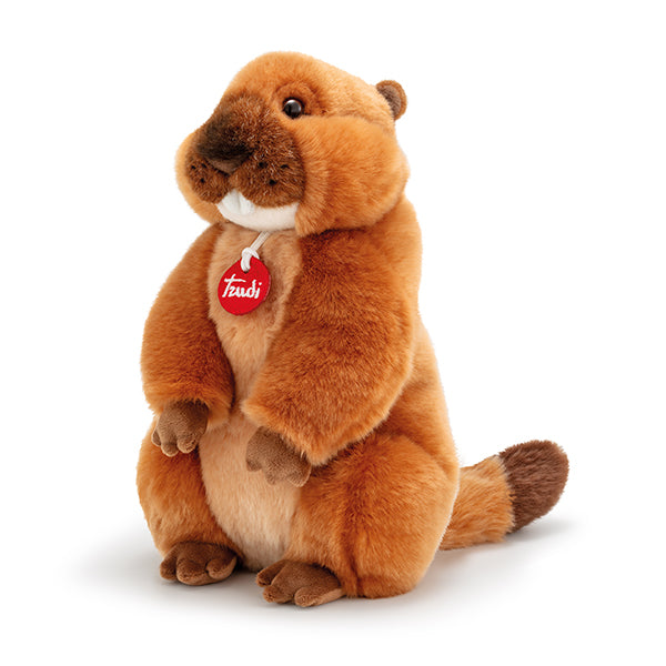 Marmotta M