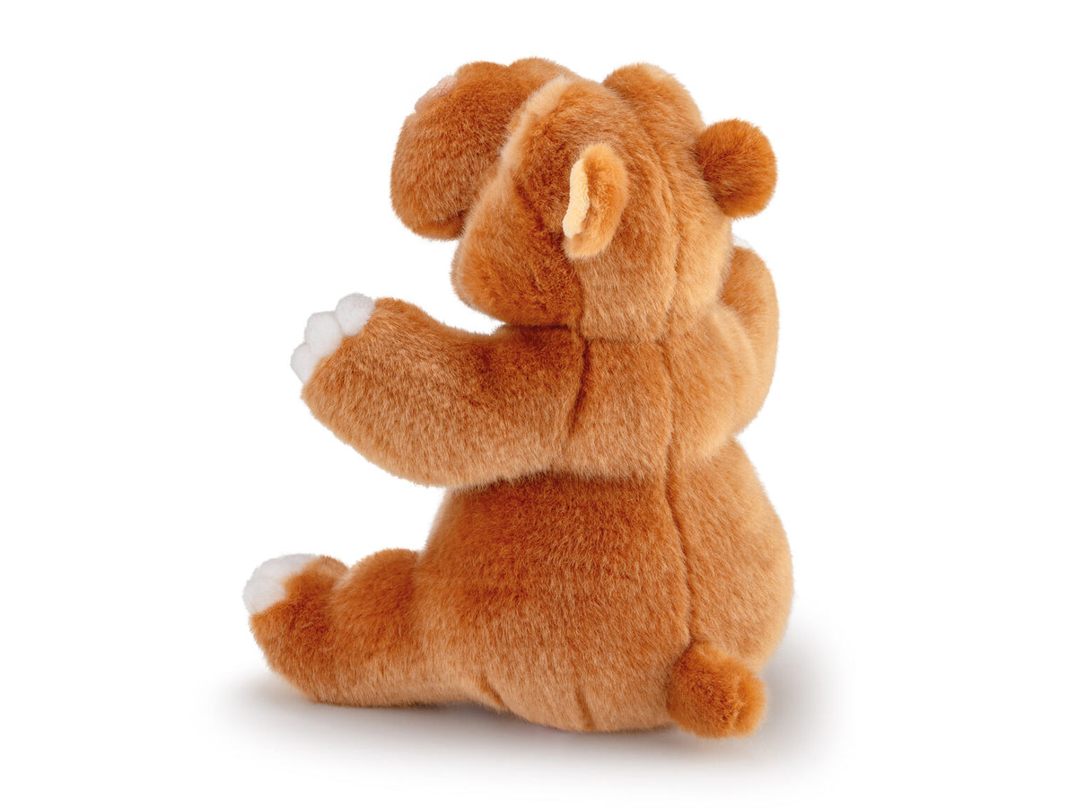 Ippopotamo Filippo S