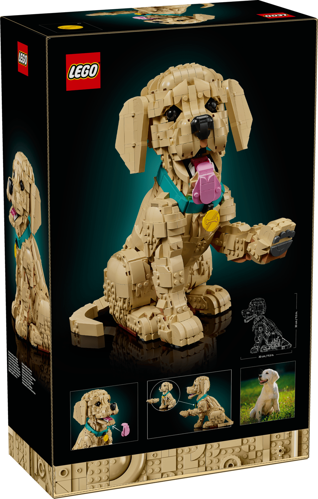 11384 Cucciolo di Golden Retriever