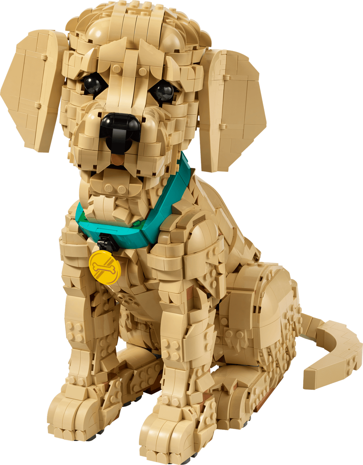 11384 Cucciolo di Golden Retriever