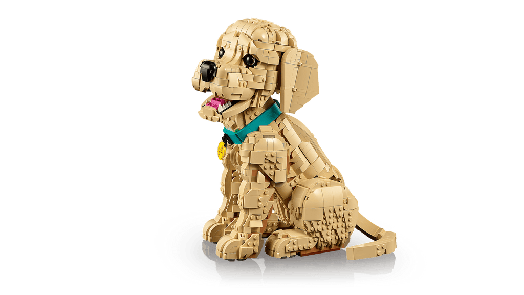 11384 Cucciolo di Golden Retriever