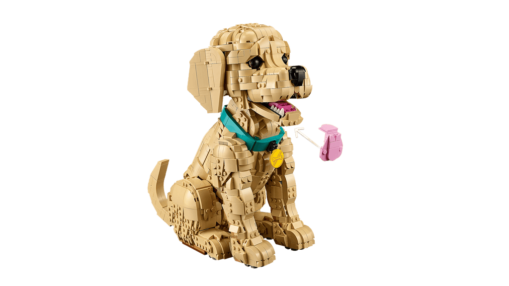 11384 Cucciolo di Golden Retriever