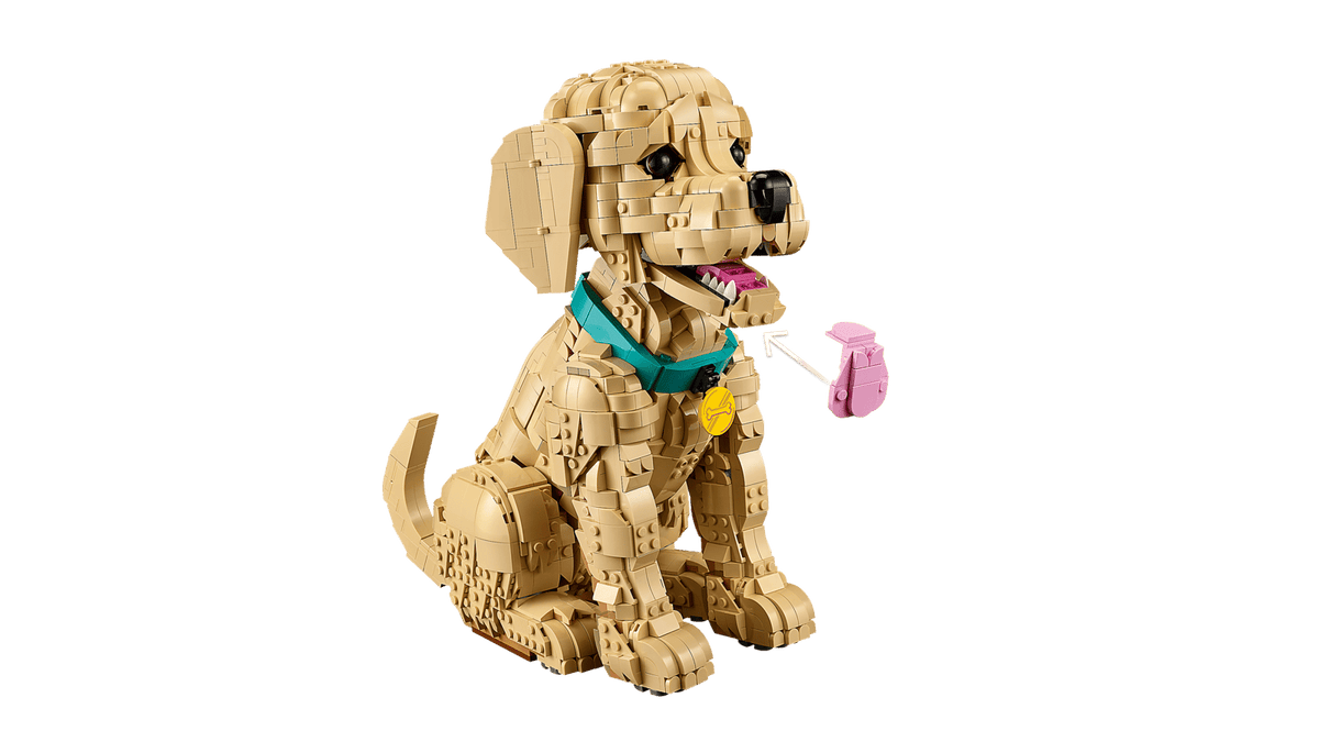 11384 Cucciolo di Golden Retriever