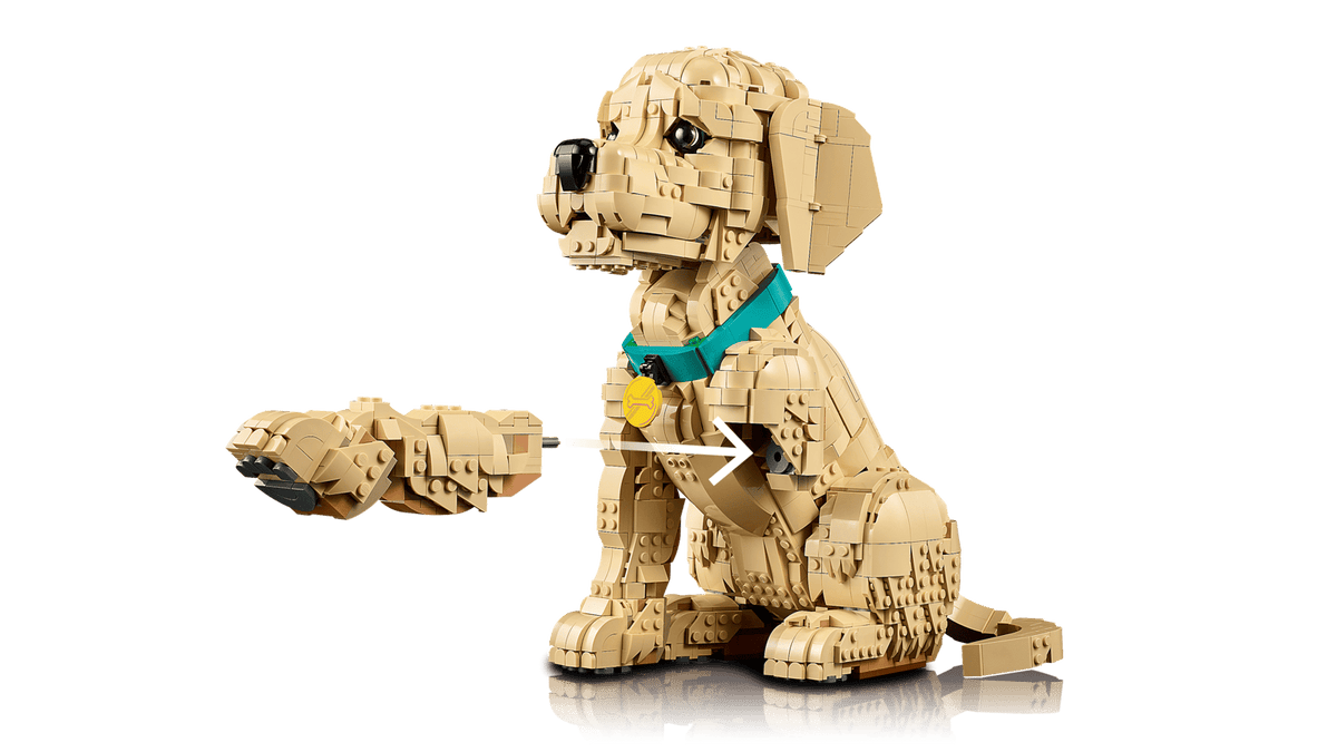11384 Cucciolo di Golden Retriever