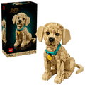 11384 Cucciolo di Golden Retriever