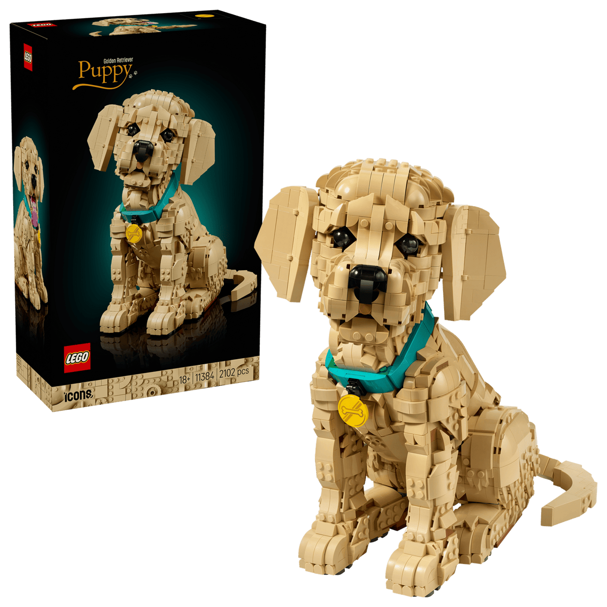 11384 Cucciolo di Golden Retriever
