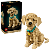 11384 Cucciolo di Golden Retriever