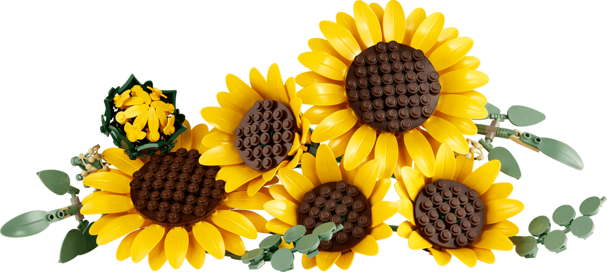 11502 Bouquet di girasoli