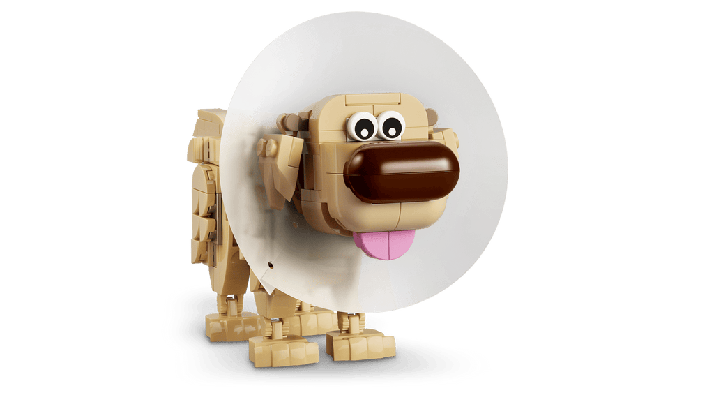 43290 Kevin e Dug