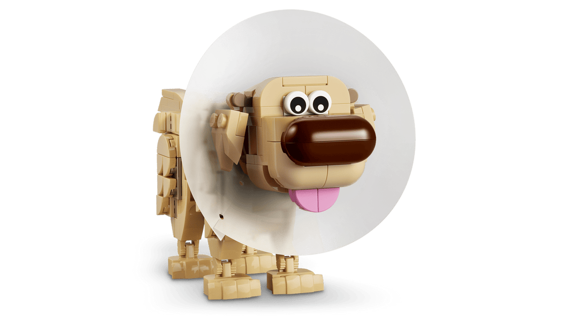 43290 Kevin e Dug
